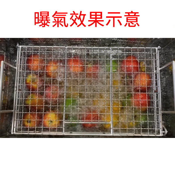Commercial Fruit and Vegetable Washing Machine
